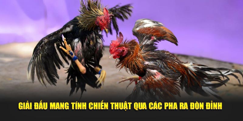 giai dau mang tinh chien thuat qua cac pha ra don dinh 