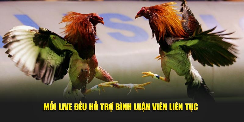 moi live deu ho tro binh luan vien lien tuc 