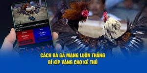 cach da ga mang luon thang